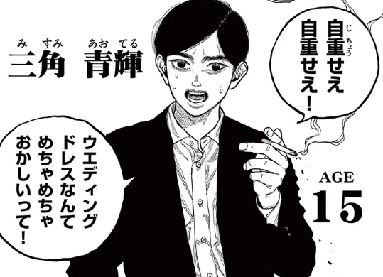 三角青輝（みすみ あおてる）